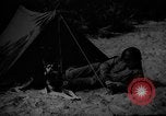 Image of dogs used for war United States USA, 1943, second 8 stock footage video 65675077872