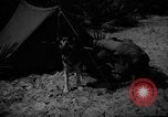 Image of dogs used for war United States USA, 1943, second 17 stock footage video 65675077872