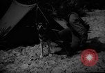 Image of dogs used for war United States USA, 1943, second 18 stock footage video 65675077872