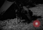 Image of dogs used for war United States USA, 1943, second 19 stock footage video 65675077872