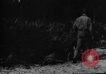 Image of dogs used for war United States USA, 1943, second 23 stock footage video 65675077872
