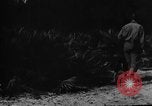 Image of dogs used for war United States USA, 1943, second 24 stock footage video 65675077872