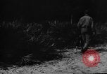 Image of dogs used for war United States USA, 1943, second 26 stock footage video 65675077872