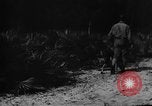 Image of dogs used for war United States USA, 1943, second 27 stock footage video 65675077872