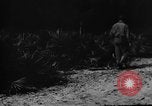 Image of dogs used for war United States USA, 1943, second 28 stock footage video 65675077872