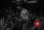 Image of dogs used for war United States USA, 1943, second 34 stock footage video 65675077872