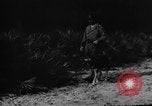 Image of dogs used for war United States USA, 1943, second 41 stock footage video 65675077872