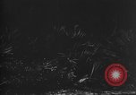 Image of dogs used for war United States USA, 1943, second 56 stock footage video 65675077872