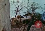 Image of 2nd Marine Division Saipan Northern Mariana Islands, 1944, second 48 stock footage video 65675077873