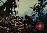 Image of 2nd Marine Division Saipan Northern Mariana Islands, 1944, second 62 stock footage video 65675077874