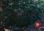 Image of 2nd Marine Division Saipan Northern Mariana Islands, 1944, second 7 stock footage video 65675077875