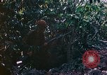 Image of 2nd Marine Division Saipan Northern Mariana Islands, 1944, second 8 stock footage video 65675077875
