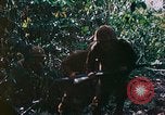 Image of 2nd Marine Division Saipan Northern Mariana Islands, 1944, second 11 stock footage video 65675077875