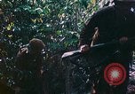 Image of 2nd Marine Division Saipan Northern Mariana Islands, 1944, second 14 stock footage video 65675077875