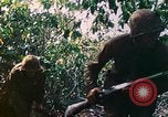 Image of 2nd Marine Division Saipan Northern Mariana Islands, 1944, second 19 stock footage video 65675077875