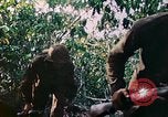 Image of 2nd Marine Division Saipan Northern Mariana Islands, 1944, second 20 stock footage video 65675077875