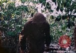 Image of 2nd Marine Division Saipan Northern Mariana Islands, 1944, second 21 stock footage video 65675077875