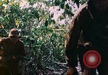 Image of 2nd Marine Division Saipan Northern Mariana Islands, 1944, second 22 stock footage video 65675077875