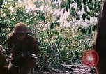 Image of 2nd Marine Division Saipan Northern Mariana Islands, 1944, second 23 stock footage video 65675077875