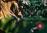 Image of 2nd Marine Division Saipan Northern Mariana Islands, 1944, second 24 stock footage video 65675077875