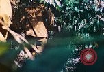 Image of 2nd Marine Division Saipan Northern Mariana Islands, 1944, second 26 stock footage video 65675077875