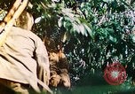 Image of 2nd Marine Division Saipan Northern Mariana Islands, 1944, second 29 stock footage video 65675077875
