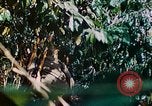 Image of 2nd Marine Division Saipan Northern Mariana Islands, 1944, second 31 stock footage video 65675077875