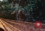 Image of 2nd Marine Division Saipan Northern Mariana Islands, 1944, second 34 stock footage video 65675077875