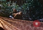 Image of 2nd Marine Division Saipan Northern Mariana Islands, 1944, second 38 stock footage video 65675077875