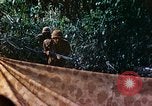 Image of 2nd Marine Division Saipan Northern Mariana Islands, 1944, second 40 stock footage video 65675077875