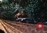 Image of 2nd Marine Division Saipan Northern Mariana Islands, 1944, second 41 stock footage video 65675077875
