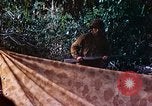 Image of 2nd Marine Division Saipan Northern Mariana Islands, 1944, second 48 stock footage video 65675077875