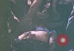 Image of 2nd Marine Division Saipan Northern Mariana Islands, 1944, second 44 stock footage video 65675077876
