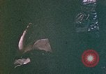 Image of 2nd Marine Division Saipan Northern Mariana Islands, 1944, second 54 stock footage video 65675077876