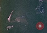 Image of 2nd Marine Division Saipan Northern Mariana Islands, 1944, second 55 stock footage video 65675077876