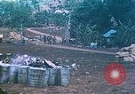 Image of 2nd Marine Division Saipan Northern Mariana Islands, 1944, second 1 stock footage video 65675077877