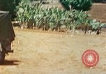 Image of 2nd Marine Division Saipan Northern Mariana Islands, 1944, second 32 stock footage video 65675077879