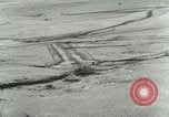 Standbild 9 Air Force Angriffe Normandie Frankreich, 1944, aus Sekunde 19 historischem Filmmaterial Videoclip 65675077903