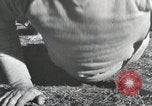 Image of Aviation cadets do supervised physical exercise San Antonio Texas USA, 1950, second 5 stock footage video 65675077922