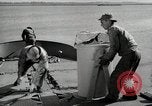 Image of sea mule tug United States USA, 1944, second 5 stock footage video 65675077932
