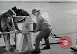 Image of sea mule tug United States USA, 1944, second 23 stock footage video 65675077932