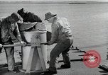 Image of sea mule tug United States USA, 1944, second 24 stock footage video 65675077932