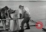 Image of sea mule tug United States USA, 1944, second 25 stock footage video 65675077932