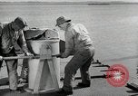 Image of sea mule tug United States USA, 1944, second 26 stock footage video 65675077932