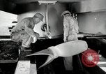 Image of sea mule tug United States USA, 1944, second 4 stock footage video 65675077934