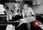 Image of sea mule tug United States USA, 1944, second 6 stock footage video 65675077934