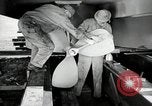 Image of sea mule tug United States USA, 1944, second 31 stock footage video 65675077934