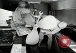 Image of sea mule tug United States USA, 1944, second 50 stock footage video 65675077934