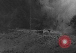 Standbild DEUTSCH A-4 Rakete Crash Peenemunde Deutschland, 1942, aus Sekunde 7 historischem Filmmaterial Videoclip 65675077984