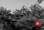Standbild DEUTSCH A-4 Rakete Peenemunde Deutschland, 1942, aus Sekunde 30 historischem Filmmaterial Videoclip 65675078007